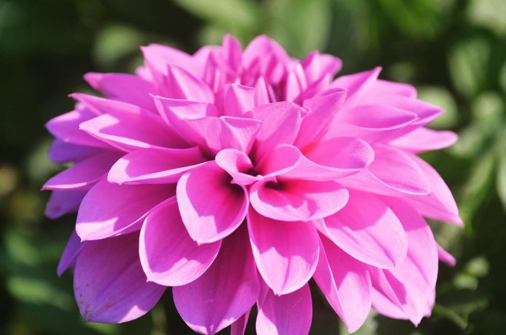 Beauty in nature . . . . . . . . . . .&hellip;