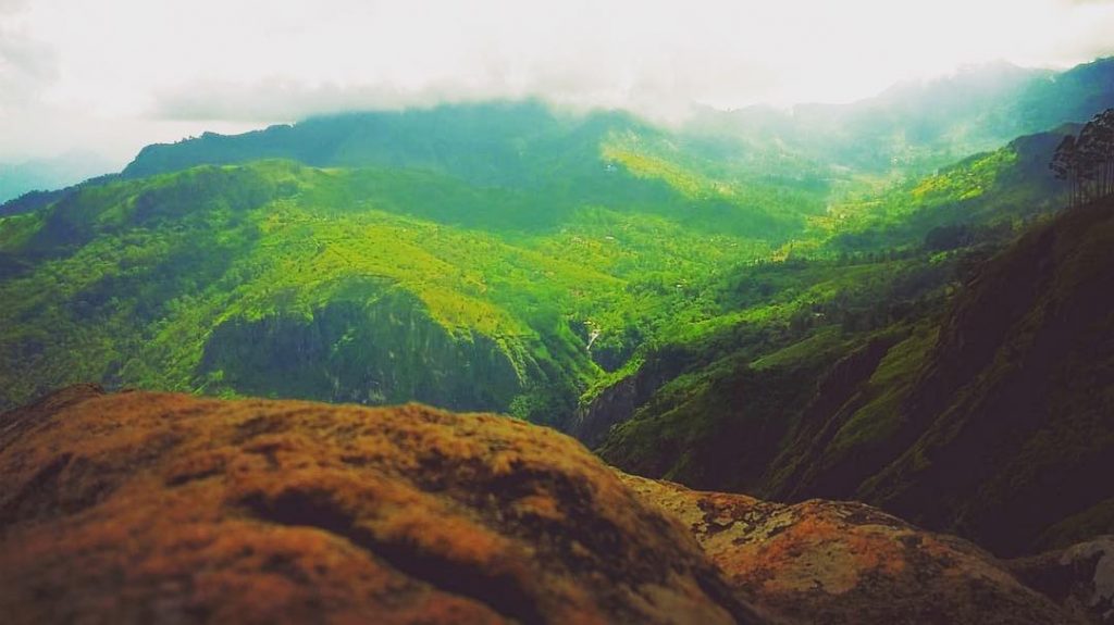 A flock of birds Hovering above Just a flock of birds That’s how you&hellip;