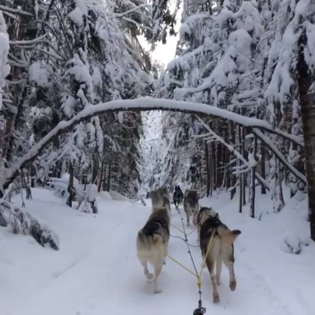 #winter #kanathaaki #canada #travel #traveller #travelforlife #travelforever #travelphotography #travelvideo #travelblogger #mustdotravels #amazingplaces #travelactivities #thingtodo…