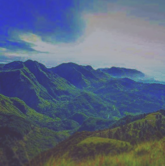 Focus on living a happy life!!! . . . #nature #naturephotography #naturelovers #natureza #travel&hellip;