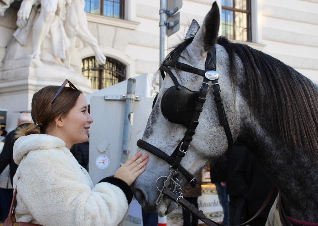 In my element, baby talking to a horse, making an old man laugh at…