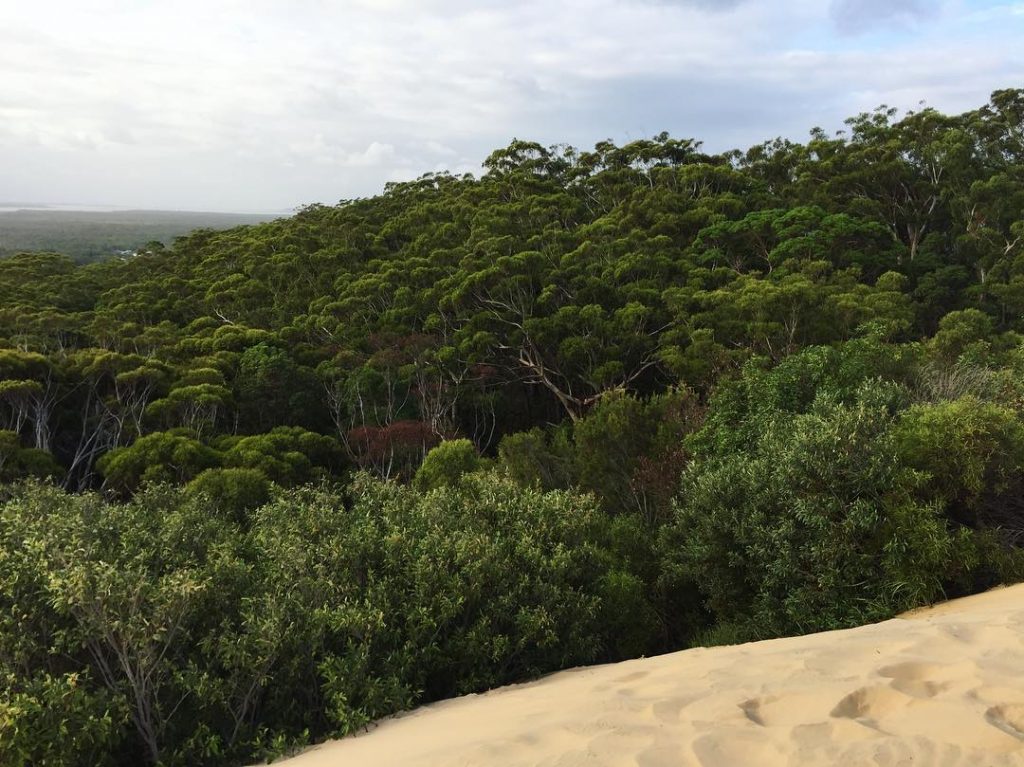 ???????? | in january 2️⃣0️⃣1️⃣9️⃣ #passportready #travelblogger #wanderlust #ilovetravel #writetotravel #instatravelling #instavacation #travelblogger #instapassport&hellip;