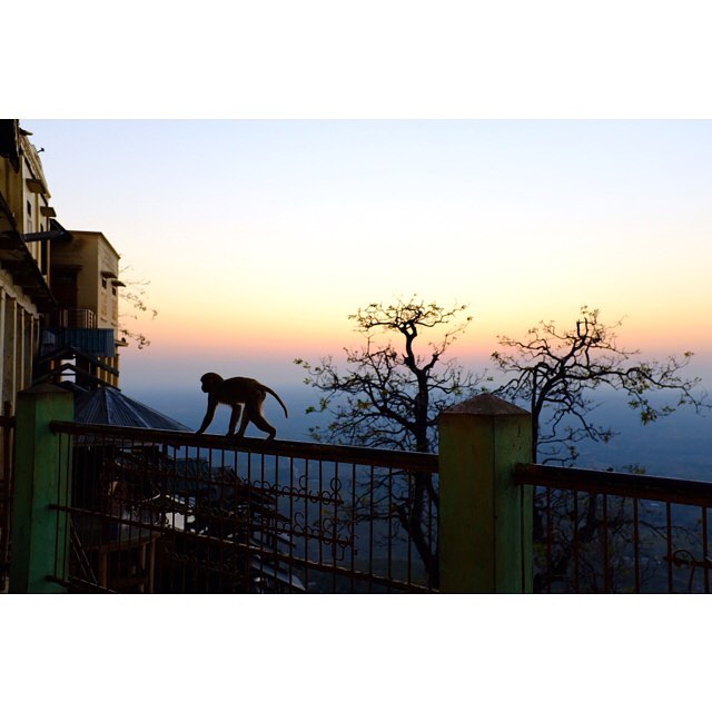 Mount Popa, 2018 Ever been to a temple where there are perhaps more than&hellip;
