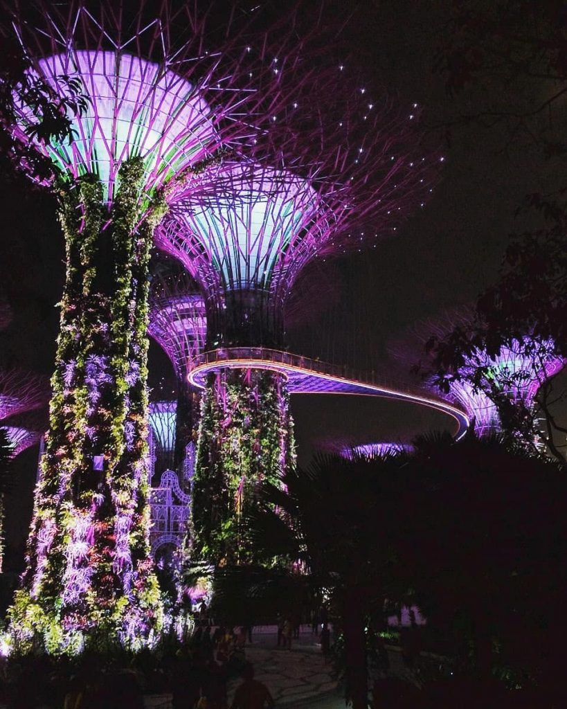 I dare you to take your eyes off this beauty . . These Supertrees,&hellip;