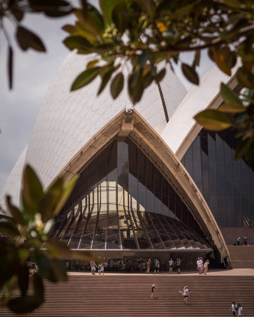 Sneaking through . . . . #sydney #australia #downunder #upsidedown #happiness #picoftheday #photography #canon&hellip;