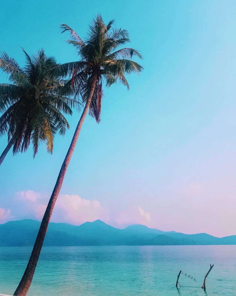 ++ . .. … #adventure #nature #journey #travel #unseen #naturalwalkway #travelgram #asiatravel #thaitraveling #greenthumb&hellip;