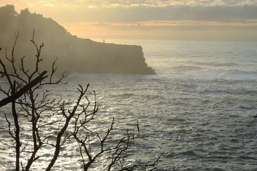 Someday, I will have a beach house. The ocean calls me, and when I’m…