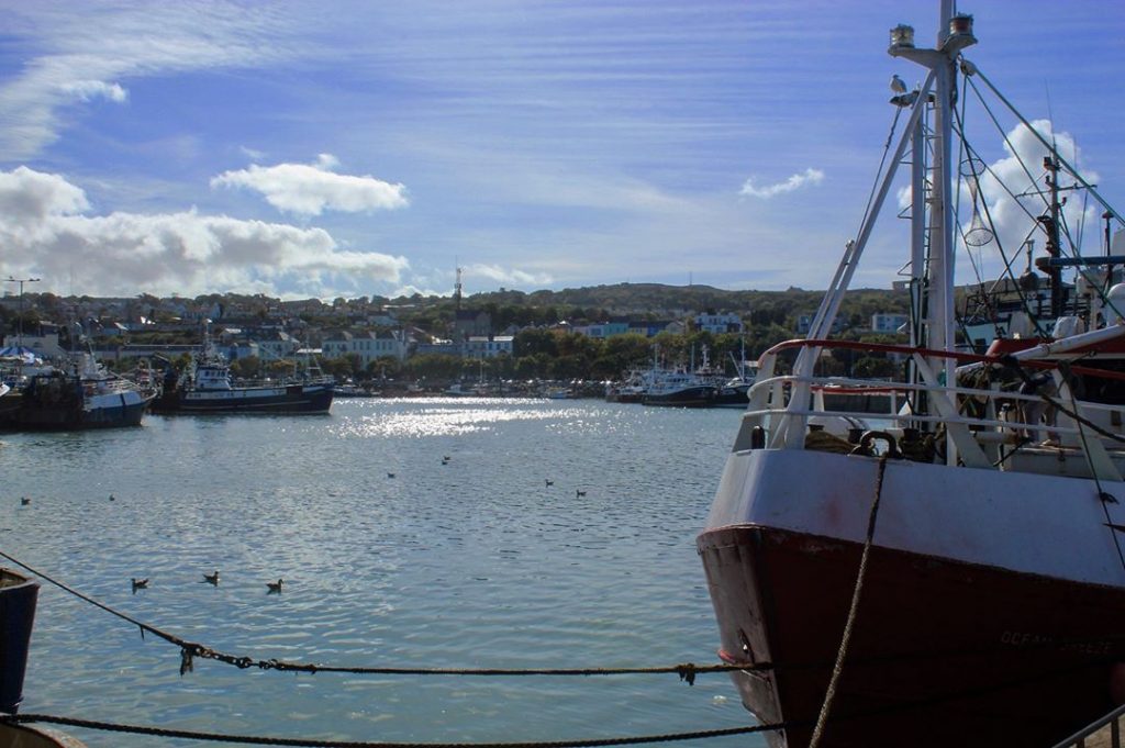 More Howth adventures! If you’re ever in the small fishing town of Howth just&hellip;