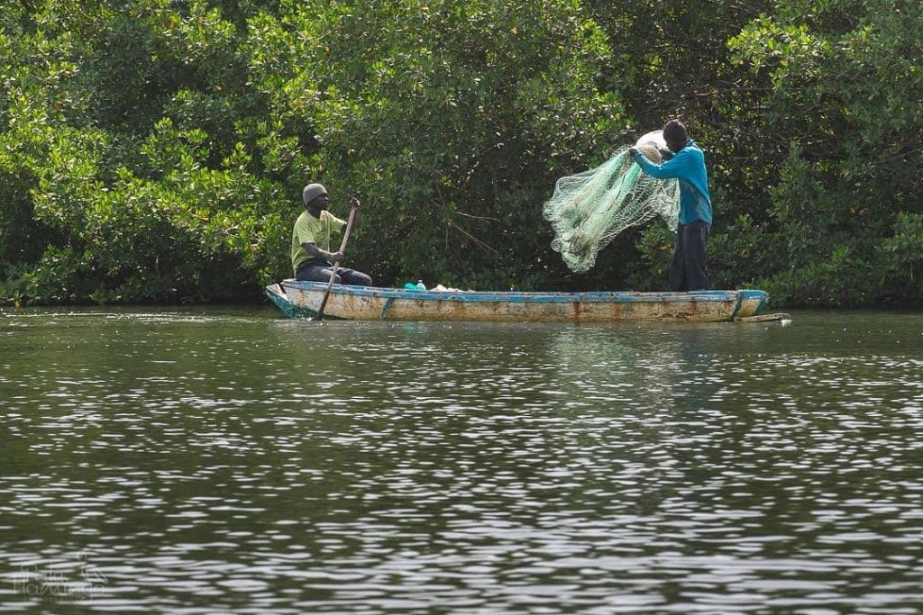This week we’re staying on the river Gambia and her surroundings for a&hellip;