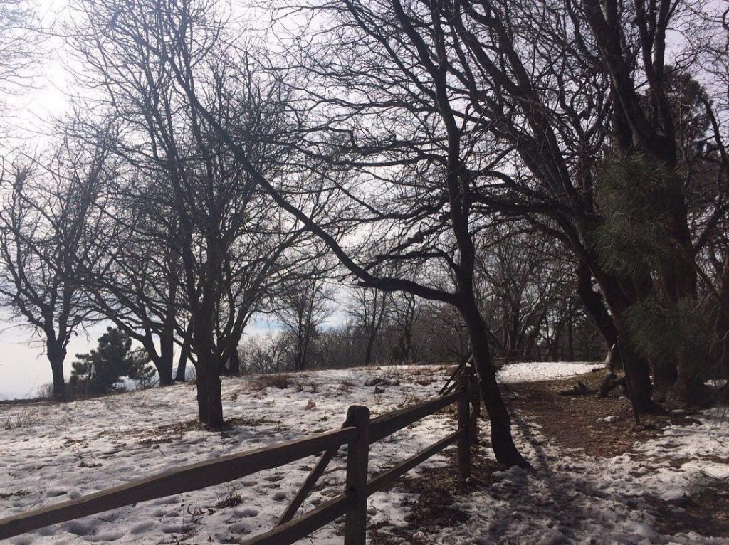 Así se viven los días nevados en California. #CaliforniaSnowDay #SanBernardinoMountains . . . .&hellip;