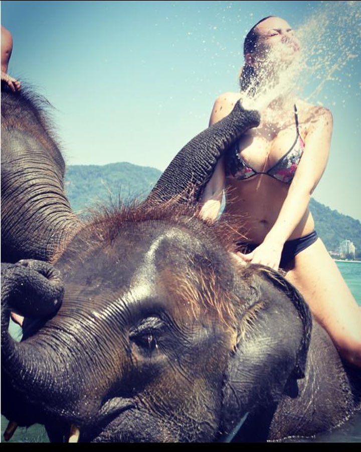 #elephants #beach #summer #phuket #thailand #travel #travelphotography #travelblogger # #girl #bnesimppl #lady #travelblogger #traveling&hellip;