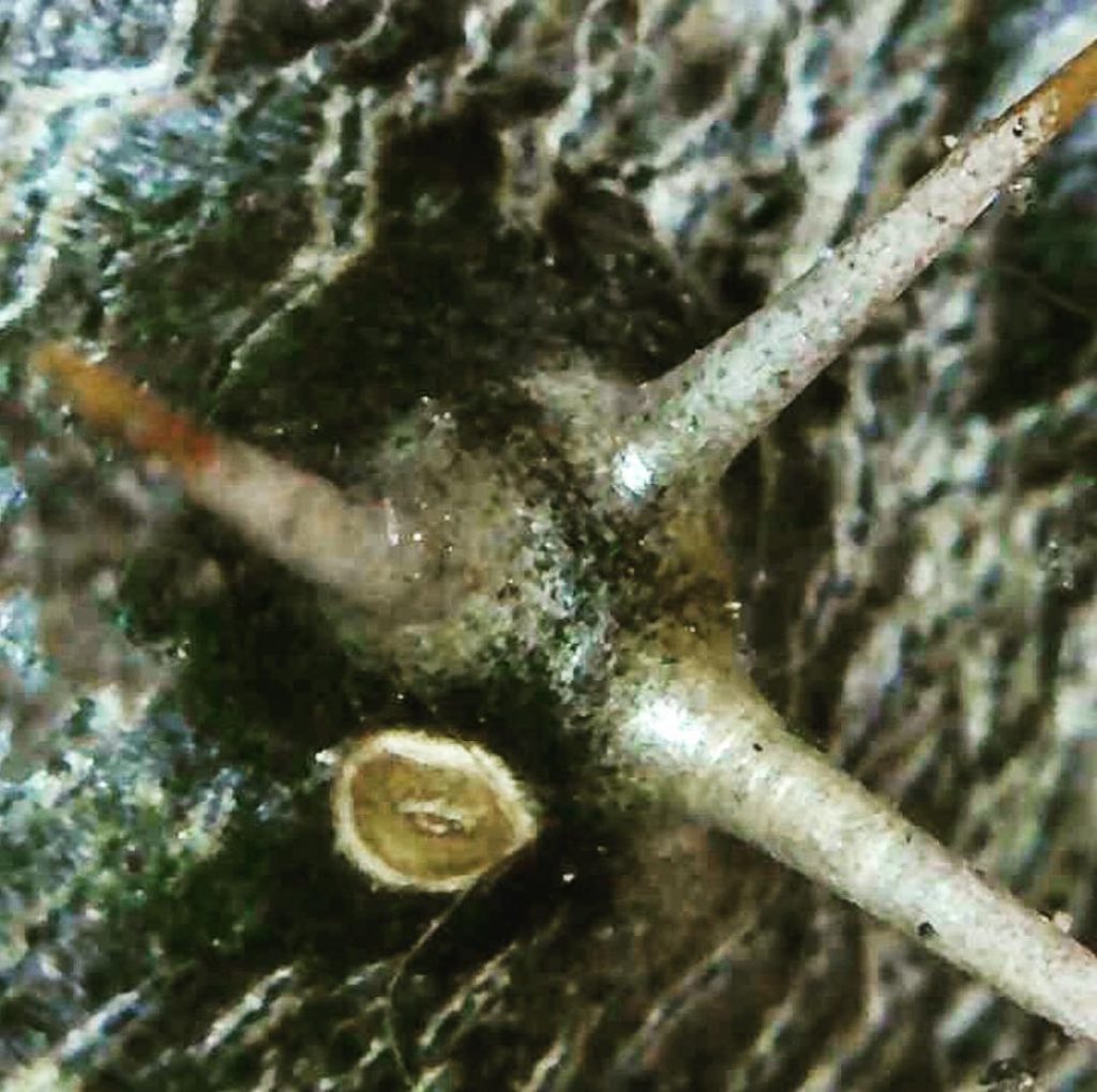 #fotartplgz #traveldestinations_ig #bnesimppl Edited with: @carbonblackandwhite _ #weather #skylovers #natureporn #amazing #skypainters #gf_daily #light&hellip;