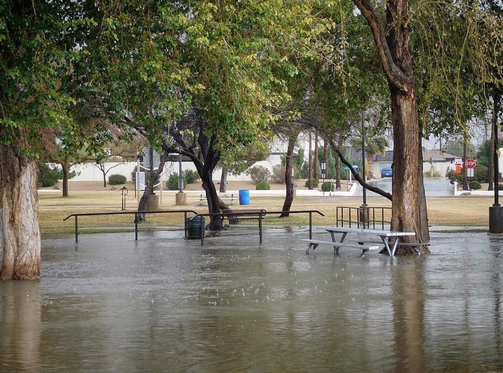 #travelholic #photographer #flooding #water #park #travelblogger #qductions #tree #igers #igdaily #igs #nikon #traveler #naturephotography&hellip;