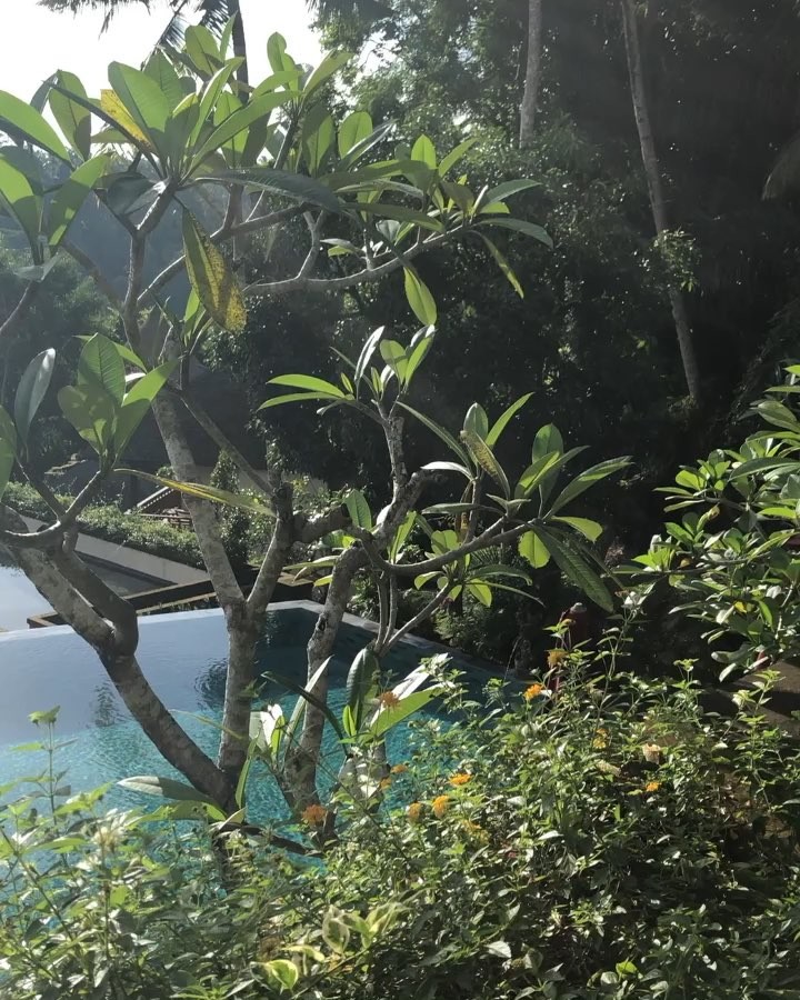 ⭕️⬆️Ⓛⓘⓥⓔ ⓛⓘⓕⓔ ⓦⓘⓣⓗ ⓝⓞ ⓔⓧⓒⓤⓢⓔⓢ, ⓣⓡⓐⓥⓔⓛ ⓦⓘⓣⓗ ⓝⓞ ⓡⓔⓖⓡⓔⓣ ⭕️⭕️⭕️⭕️⭕️⭕️⭕️⭕️ ••••••••••••• ‍️Discover my Journey&hellip;