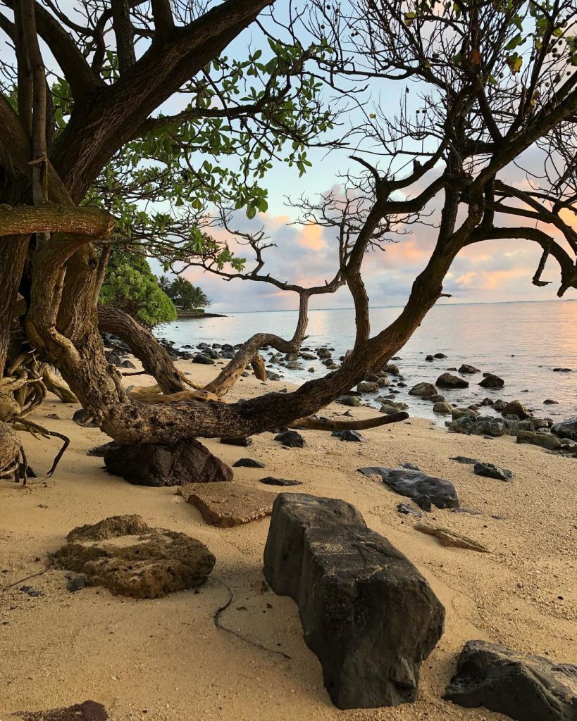 “When it comes to love and loss, acceptance is never easy. We can’t make&hellip;