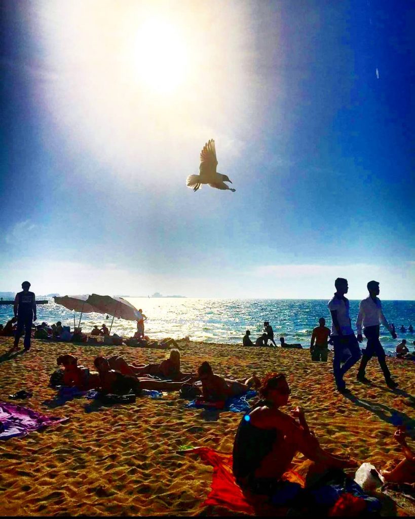 Fly so high #mydubai #kitebeachdubai #bird #freedome #phototakenbyme #righttime #captured #mydubai #pampam #pompella #pampamtravel&hellip;