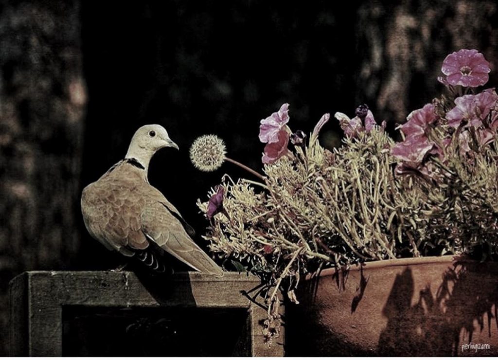 #fotartplgz #traveldestinations_ig #bnesimppl Edited with: @carbonblackandwhite _ #weather #skylovers #natureporn #amazing #skypainters #gf_daily #light&hellip;