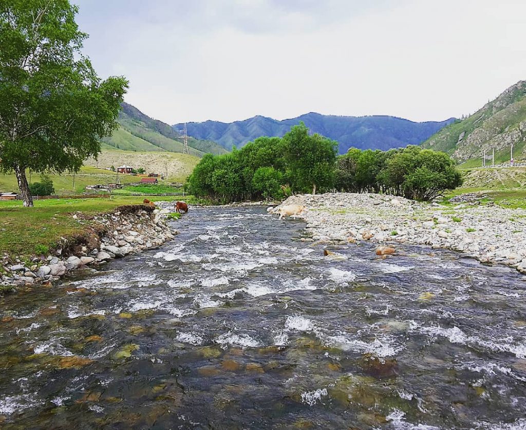 Feel the energy of a flowing stream? #nature #naturephotography #naturelovers #silence #amazingplaces #amazingtrip #roadtrip&hellip;