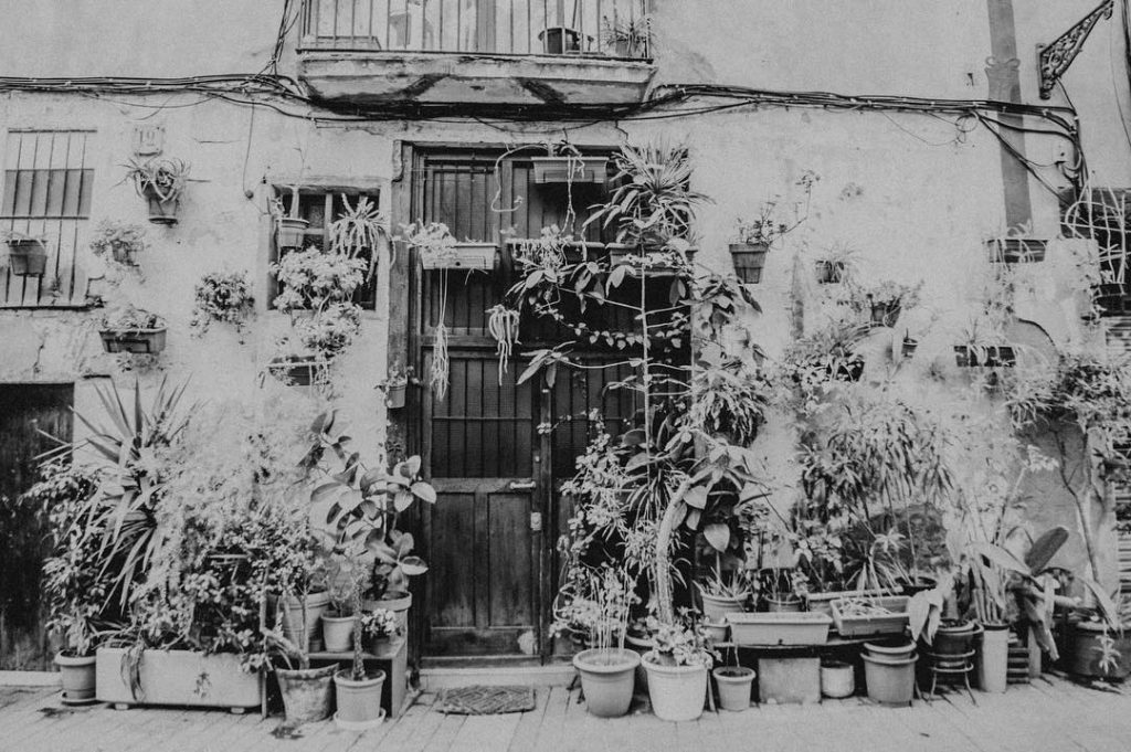 Ep-26 . . . . . . . . . #visit #trip #modernism #pic&hellip;