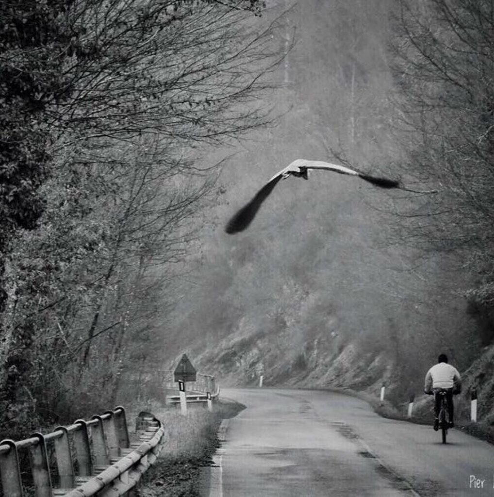 #fotartplgz #traveldestinations_ig #bnesimppl Edited with: @carbonblackandwhite _ #landscape #amazing #view #trip #tree #sky #mountains…