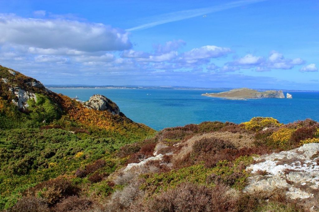 If you’re ever in Dublin, take a short train ride out to Howth for…