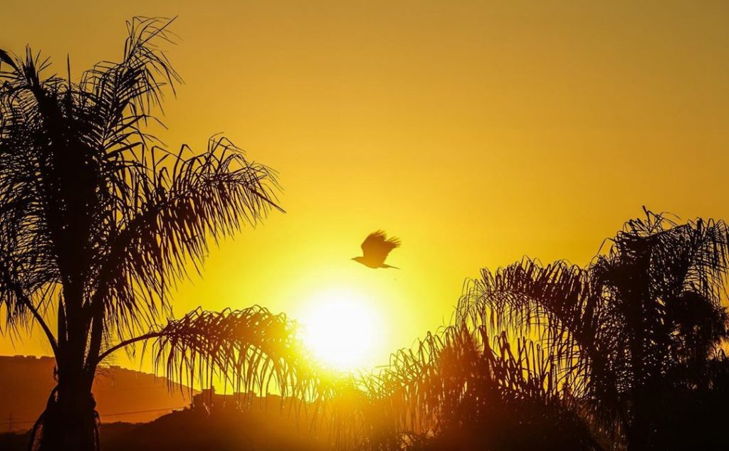 #sunrise #sunrise_sunset_photogroup #sunrise #sunrise_and_sunsets #sunrise_sunsets_aroundworld #sunriselovers #sunriseporn #sunrisesunset #california #travelgram #travelphotography #carlsbad #socal #bird&hellip;