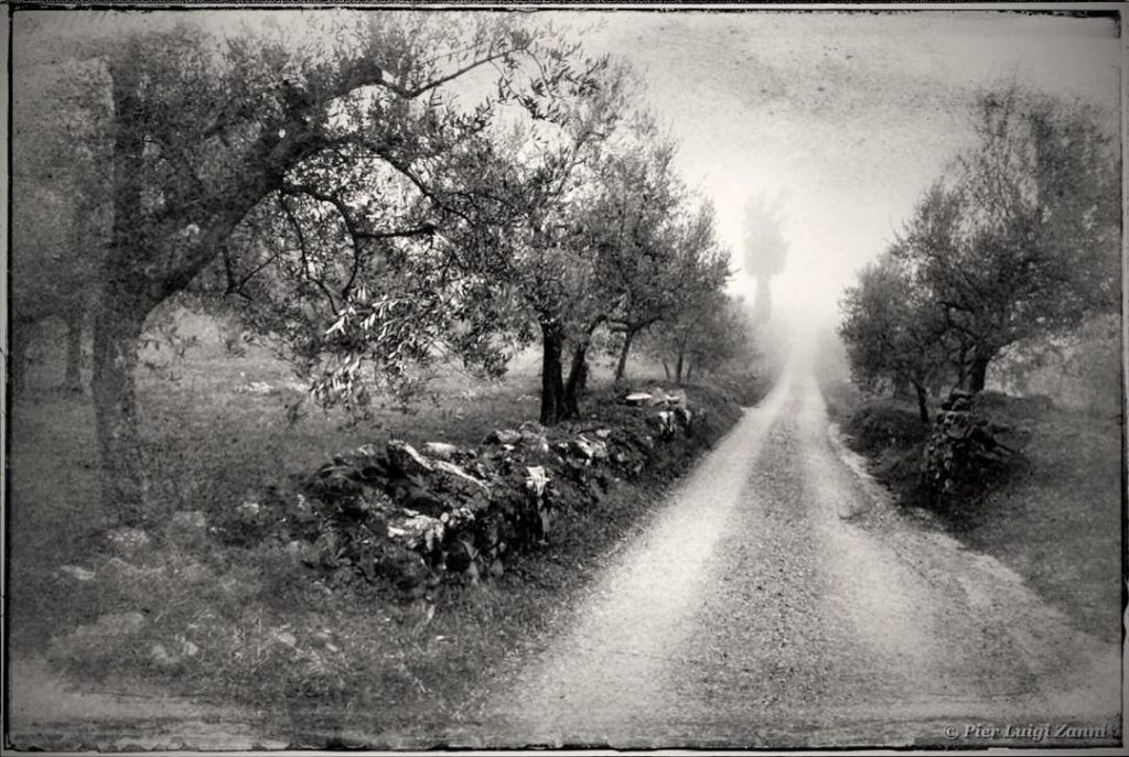 #fotartplgz #traveldestinations_ig #bnesimppl Edited with: @carbonblackandwhite _ #landscape #amazing #view #trip #tree #sky #mountains&hellip;