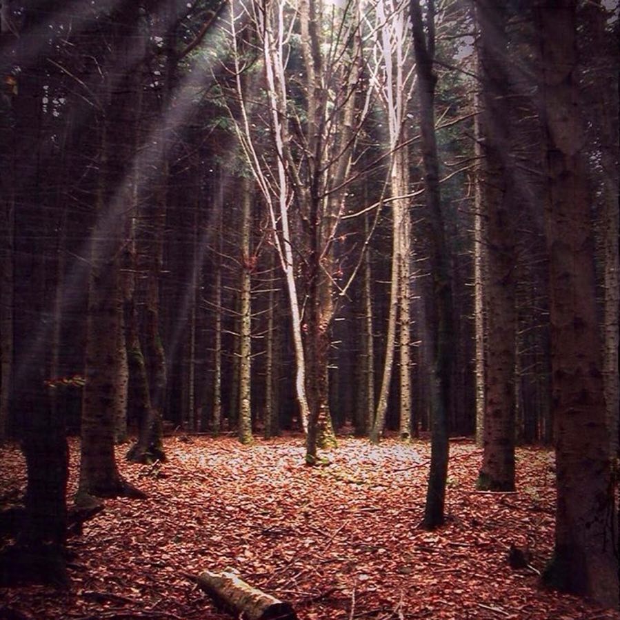 #fotartplgz #traveldestinations_ig #bnesimppl Edited with: @carbonblackandwhite _ #weather #skylovers #natureporn #amazing #skypainters #gf_daily #light&hellip;