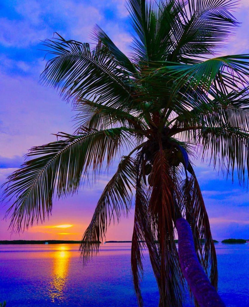 ⭕️???????? ???????????? ???????????????????? ???????????????????????????????????????? ???????????? ????????????????????????????????????, ???????????? ????????????????????????????: ????????’???? ????????????????????????. ••••••••••••• ‍️Discover my Journey&hellip;