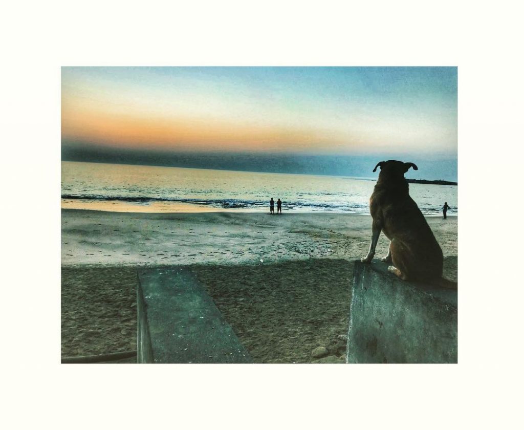 Sunset with such serenity is bliss ️ #travelindia #travelphotography #travelblogger #travelholic #daman #diu #beach&hellip;