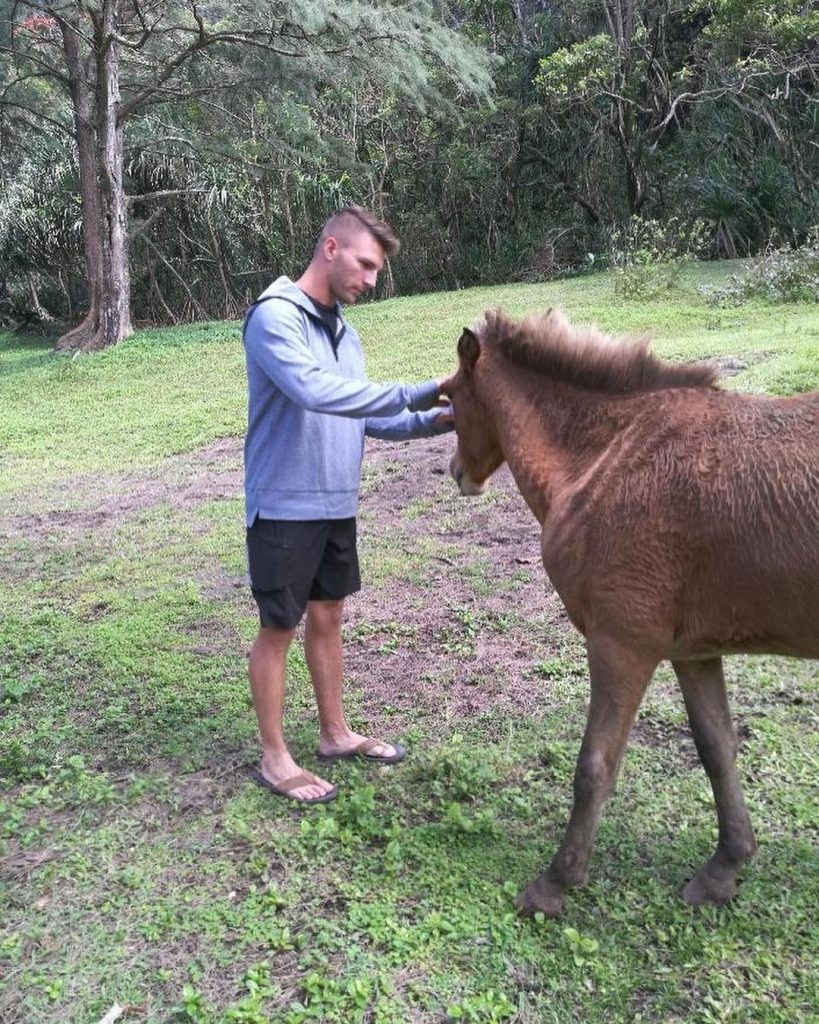 Here’s some wild Hawaiian ponies that were at the bottom of Waipio Valley. Surprisingly…