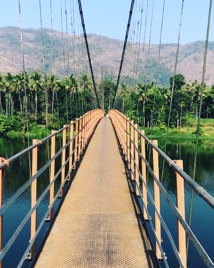 The serene view of nature from the hanging bridge. #injathotty #awalktoremember #bnesimppl #shakingbridge #exploring&hellip;