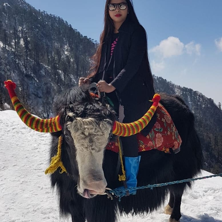 #travelbug #bnesimppl