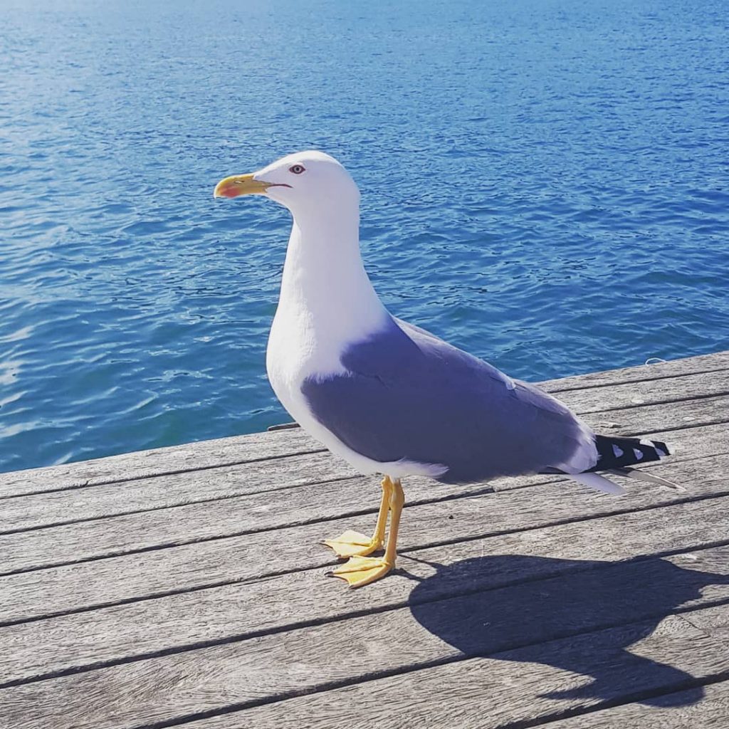 Goodbye Barcelona! Next stop is Marseille!!! #urlaub #holiday #sun #sunny #city #happy #travel #reisen&hellip;