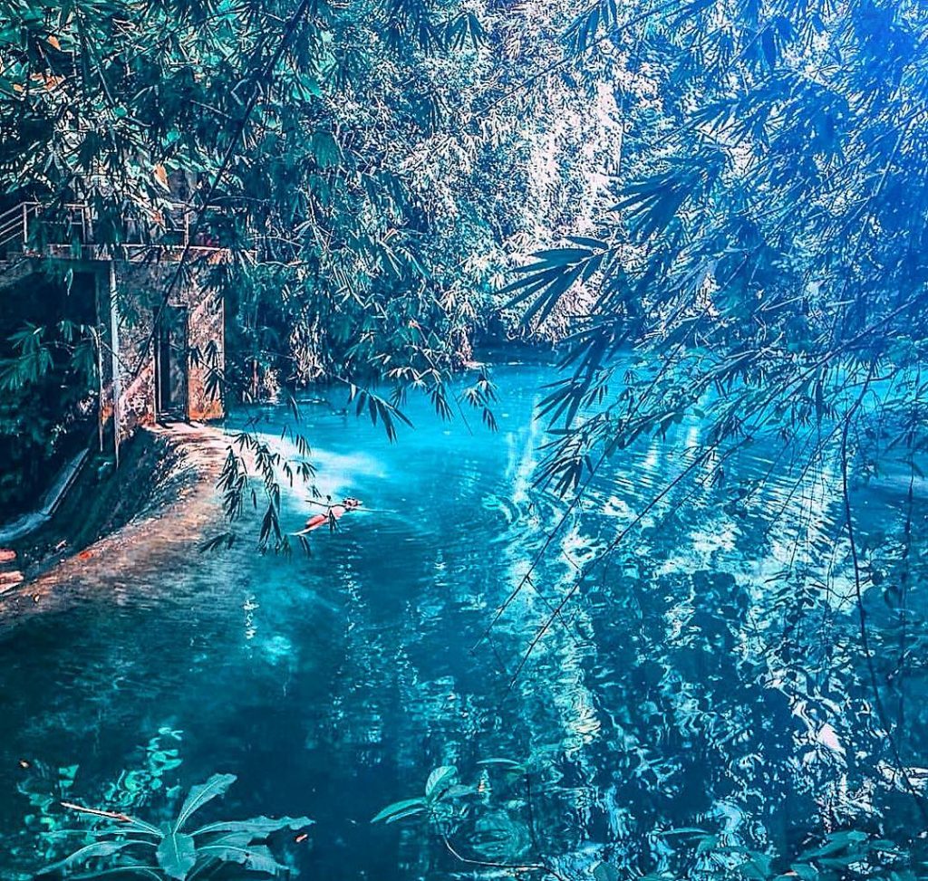 Study nature, love nature, stay close to nature. It will never fail you