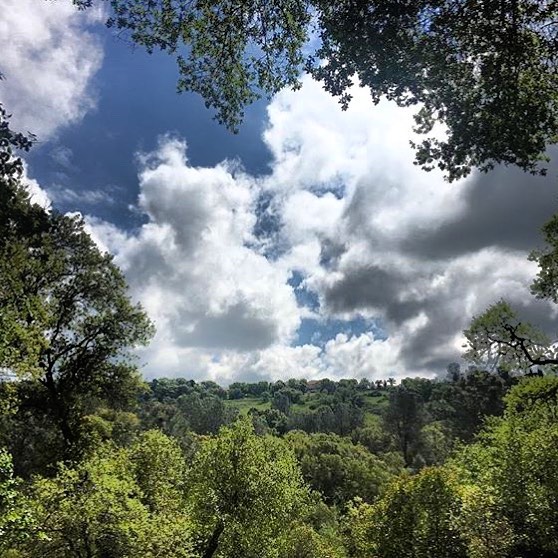 Rocklin, CA • • •