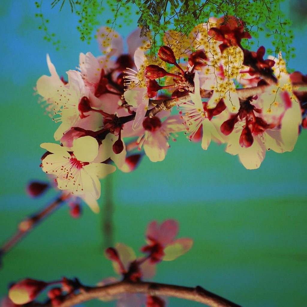 Mi naturaleza Mi universo físico La ecología de mis emociones En pleno equilibrio contigo&hellip;