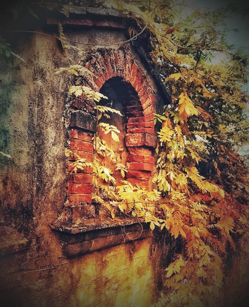 #fotartplgz #traveldestinations_ig #bnesimppl #gargonza Edited with: @carbonblackandwhite _ #travel #traveling #vacation #visiting #instatravel #instago&hellip;