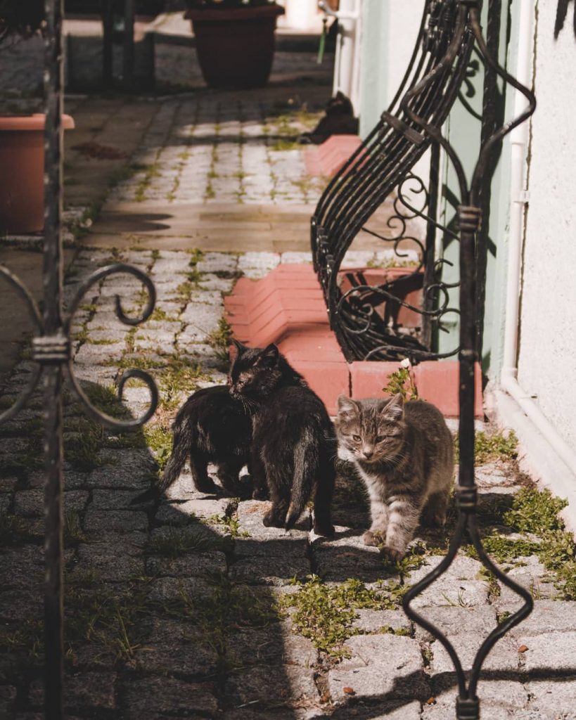 #travel #traveling #traveler #travelgram #travelphoto #travelholic #backpacker #photography #canon #bnesimppl #여행 #여행사진 #여행에미치다 #여행스타그램&hellip;