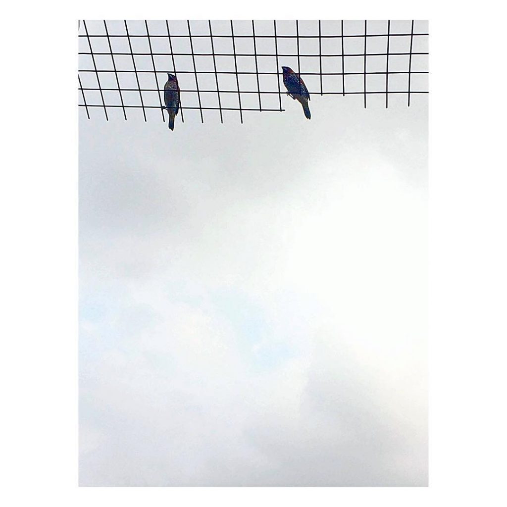 Love is a game that two can play and both win! . . .&hellip;