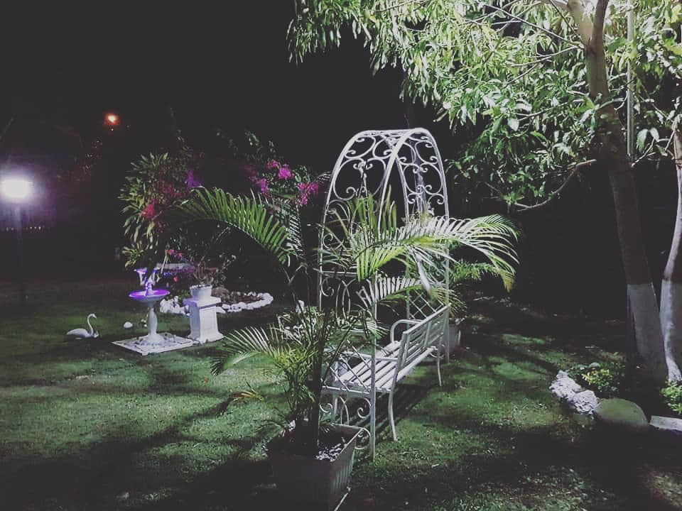 Green nights in Paradise at Avalon in Ocho #garden #gardenoftheGods #landofbeauty #sweetsweetjamaica #airbnb #islandlife…