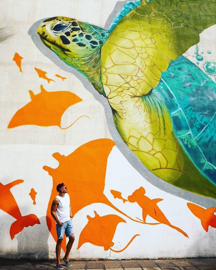 Feels just like a video High levels. . . #travelblogger #travel #instatravel  #mytravelgram #traveler &hellip;