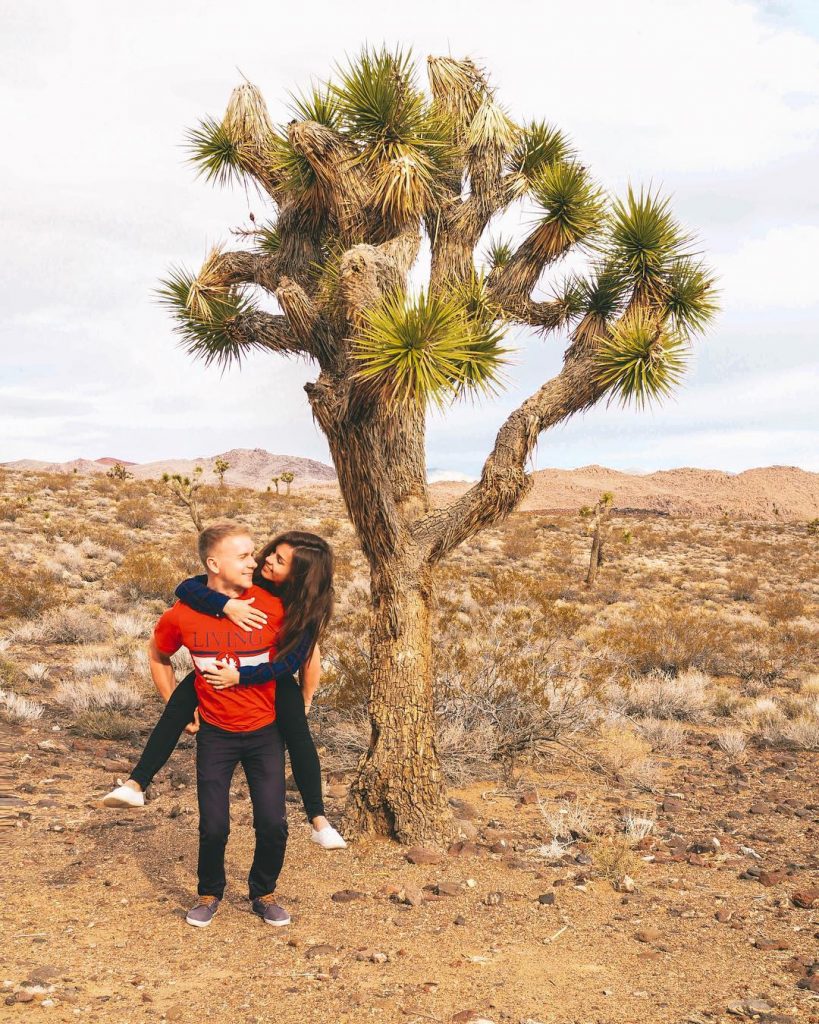 Многие мои знакомые знают как я люблю различные кактусы и суккуленты А тут целое&hellip;