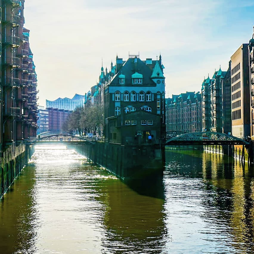 Right or left? Just like in real life! . . . . #life #lifequestions&hellip;