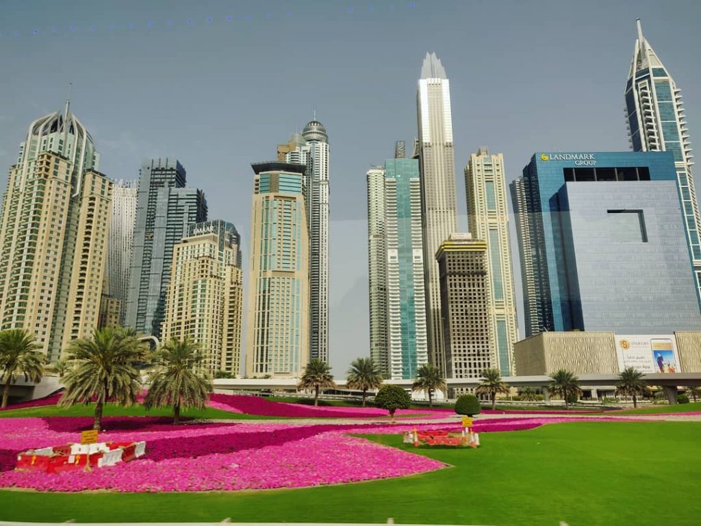 Loved how swiftly the landscape in Dubai changes; from skyscrapers to endless deserts, this&hellip;