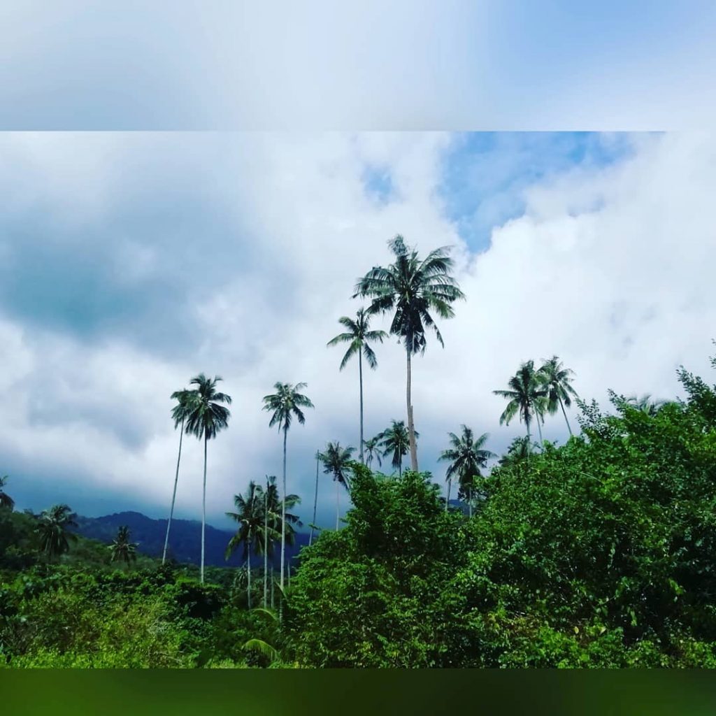 Landscape at Pulau Tioman. #island #pulautioman #pulau #instanature #malaysia #asia #traveldiary #travelblog #travelasia #travel&hellip;