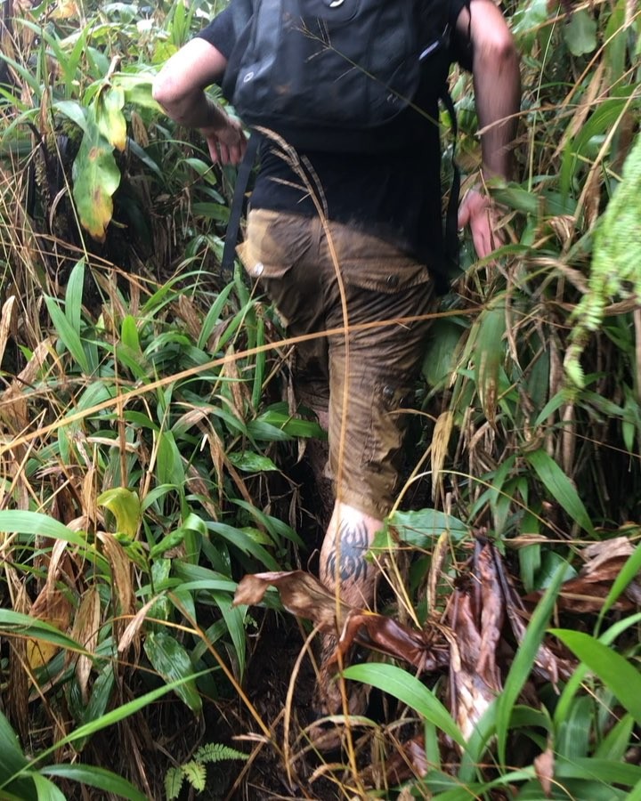 Three miles of hiking in the rainforest is no joke. That’s @teamwolfdaddy in front&hellip;