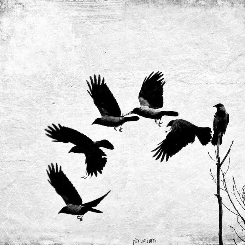 #fotartplgz #biancoenerophoto #biancoenero #traveldestinations_ig #bnesimppl Edited with: @carbonblackandwhite _ #weather #skylovers #natureporn #amazing #skypainters&hellip;