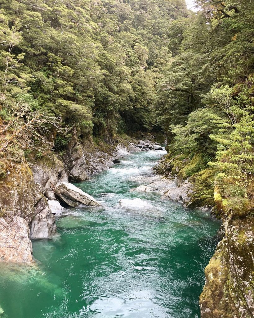 Mount Aspiring National Park, New Zealand #csmidlifegapyear #memories #travel #travelblogger #travelbug #tbt #photo #adventure&hellip;