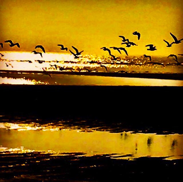 “perfect moment” . #earthscope #northsea #sunset #evening #walk #beachwalk #bnesimppl #walking #hike #hiking #hikingadventures&hellip;